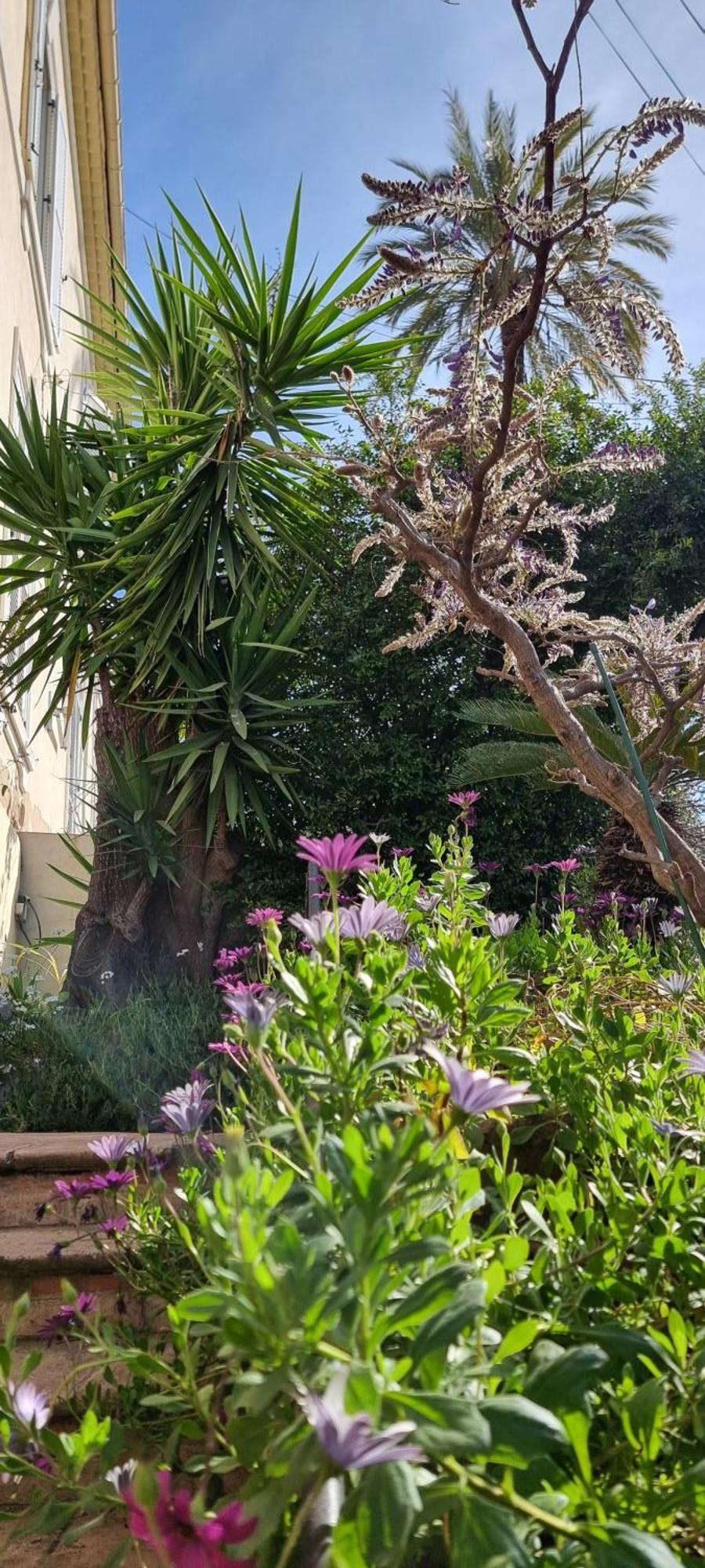 Apartment Magenta Cannes